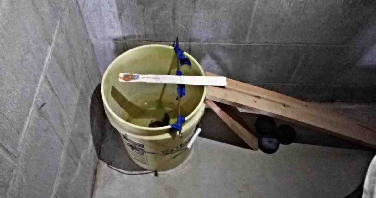 Bucket rat trap not working