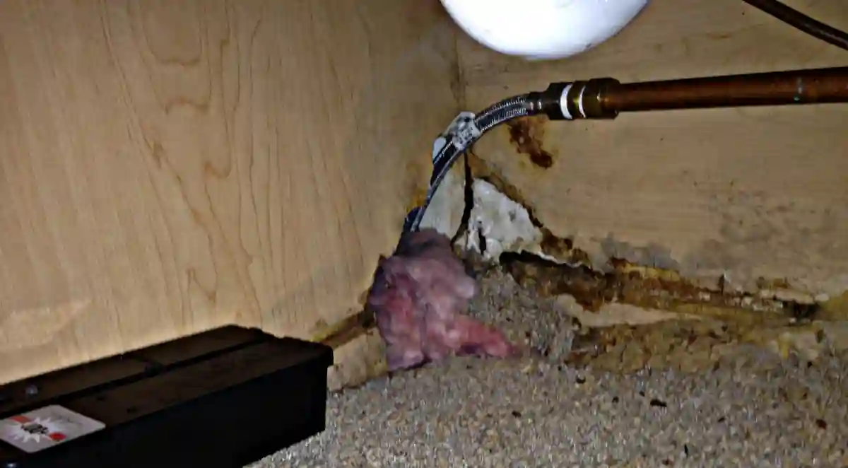 Is mice damage covered by insurance