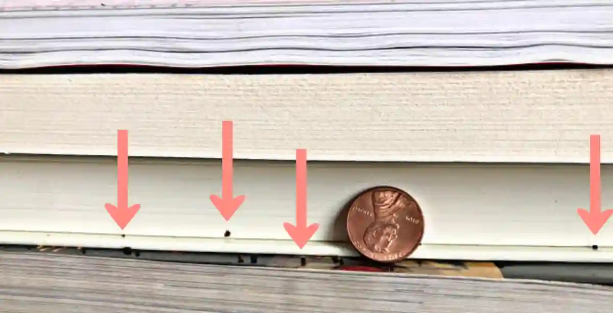 How to clean books with mouse droppings