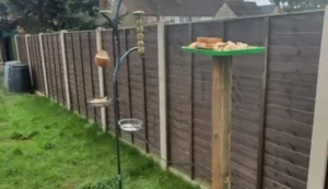 How to stop rats getting on bird table
