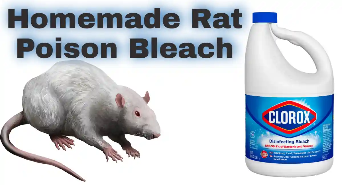 Homemade Rat Poison Bleach